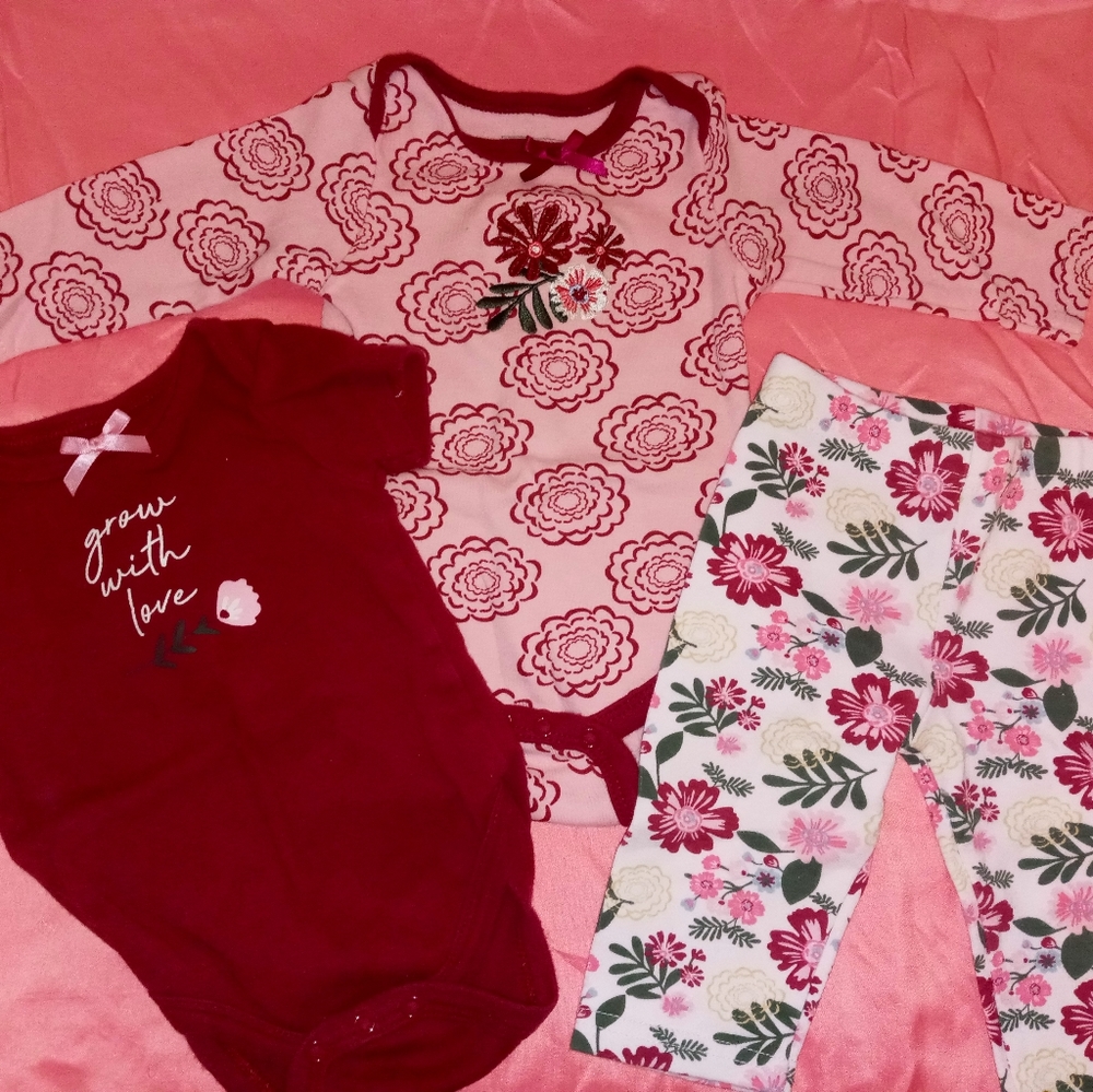 3 pc. Baby girl outfit